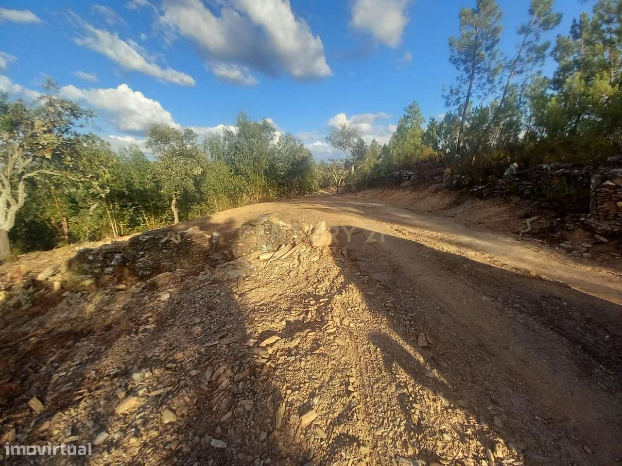 Terreno em Benquerenças, Castelo Branco - 2800m²-10