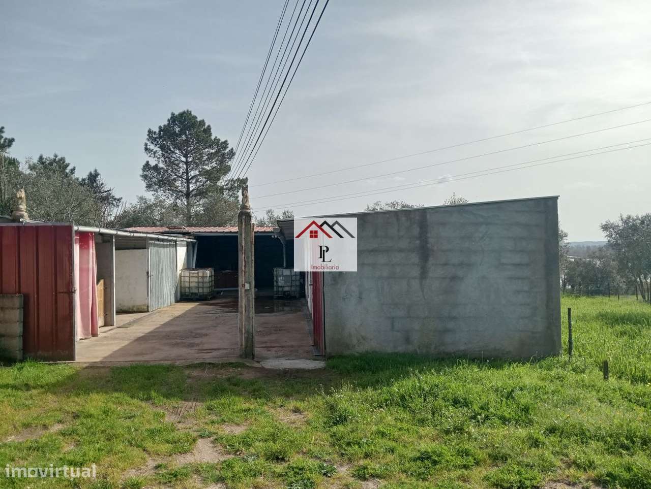 Terreno rustico em Granja de Ançã-8