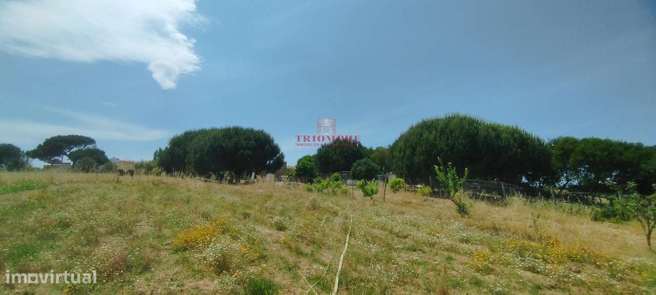 Terreno Rústico Urbanizável, A Dos Cunhados, Torres Vedras - Grande imagem: 5/7