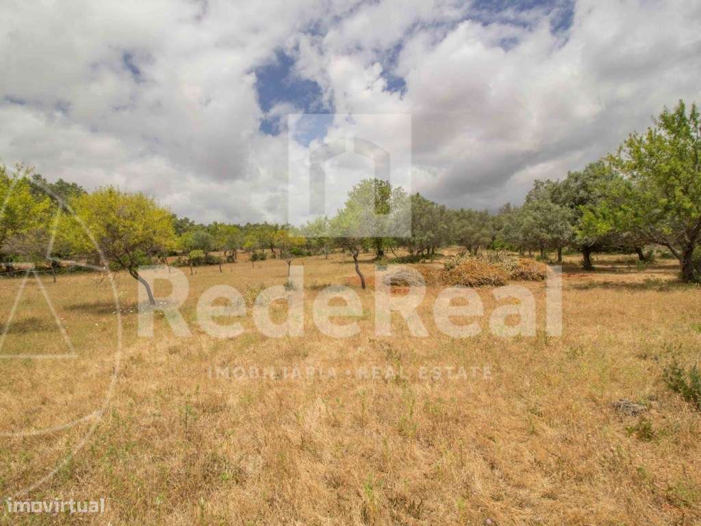 Terreno Rústico, Loulé, Boliqueime - Grande imagem: 3/5
