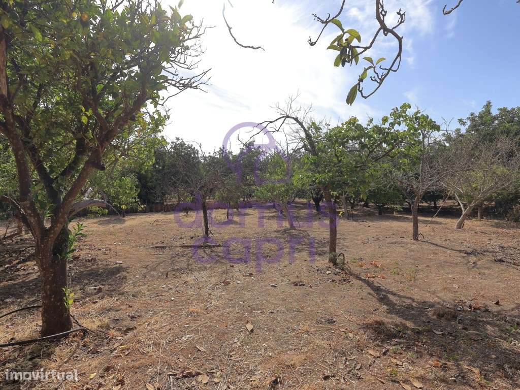 Moradia T2 + 2 para renovar em Arroio - Luz de Tavira-22