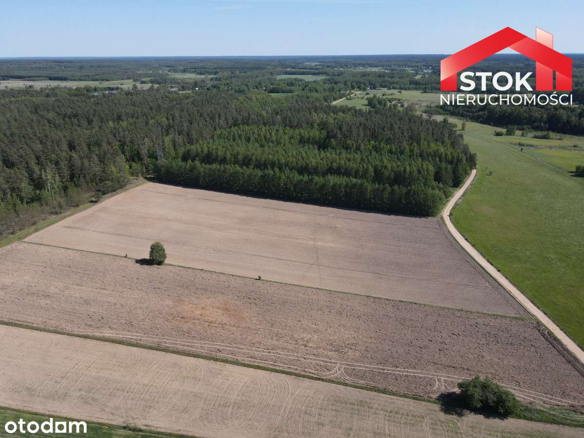 Działka z WZ 0,3 ha Puszcza Knyszyńska - Pełny obrazek: 4/5