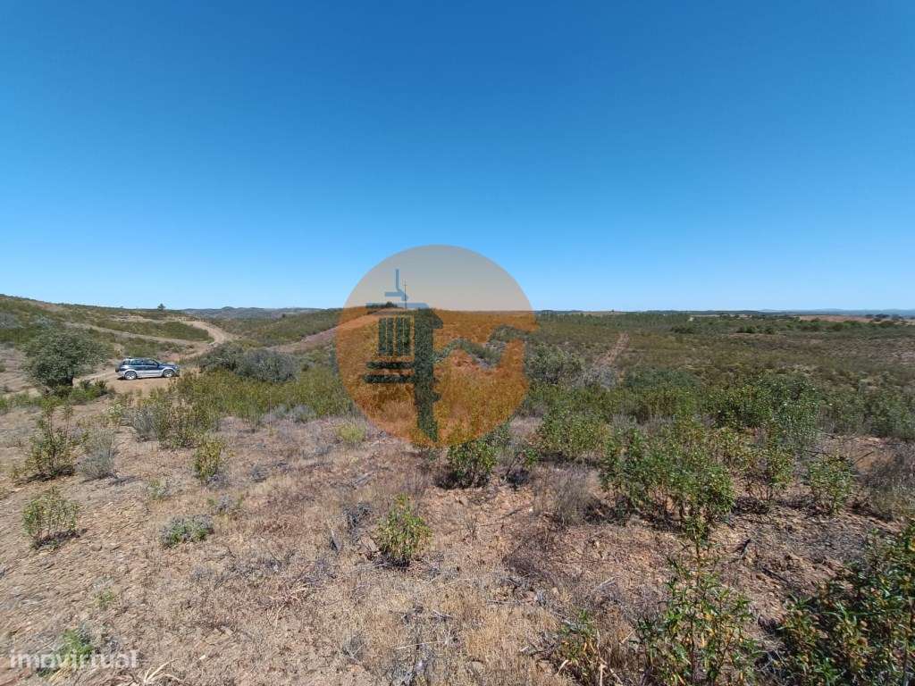 TERRENO COM 34.700 M2 - POSSIBILIDADES DE CONSTRUIR UM ARMAZEM - PR...-38