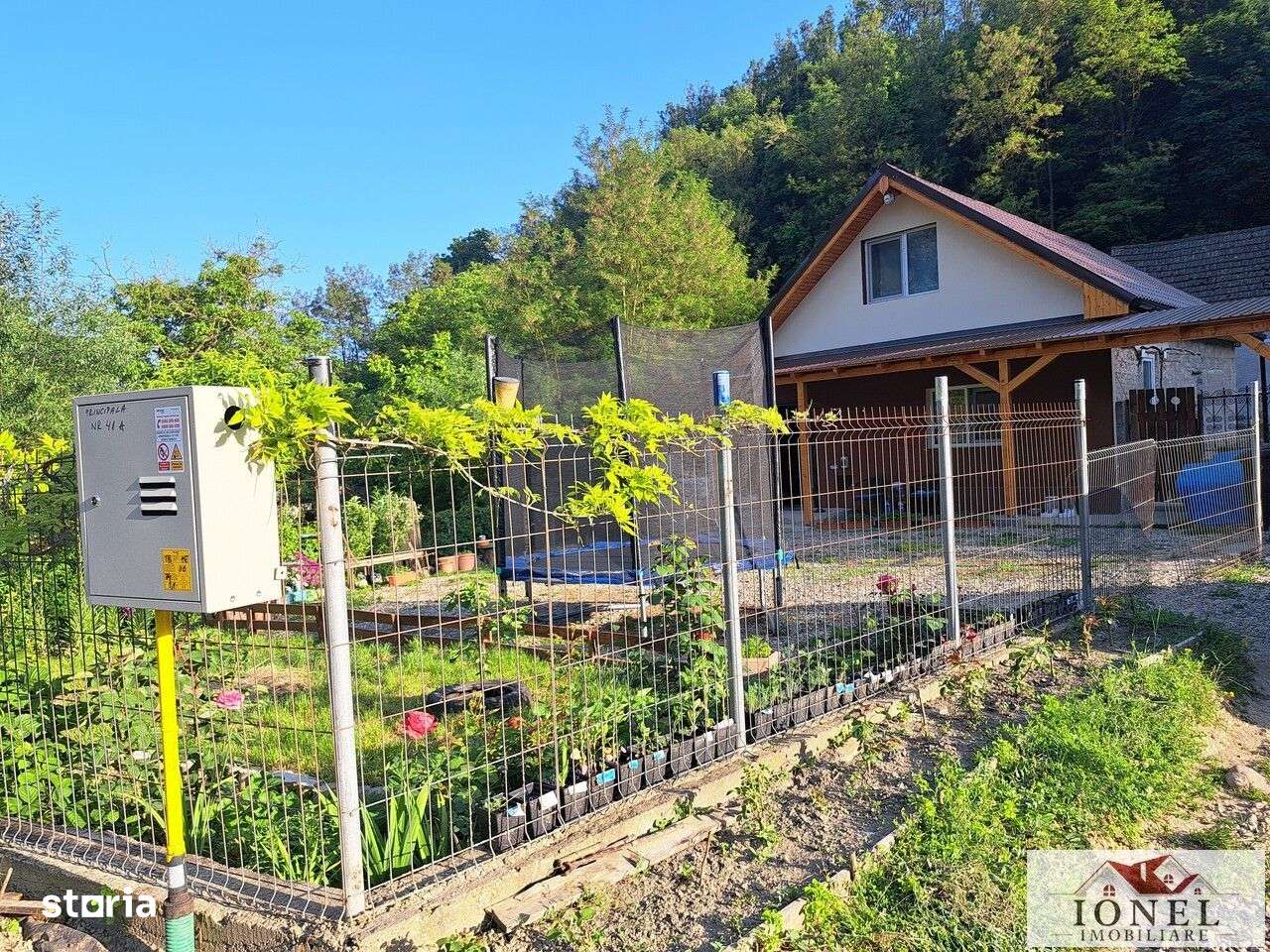 Casa cu 19.549 mp teren de vanzare in Vintu - Valea Vintului - Imagine principală: 3/18