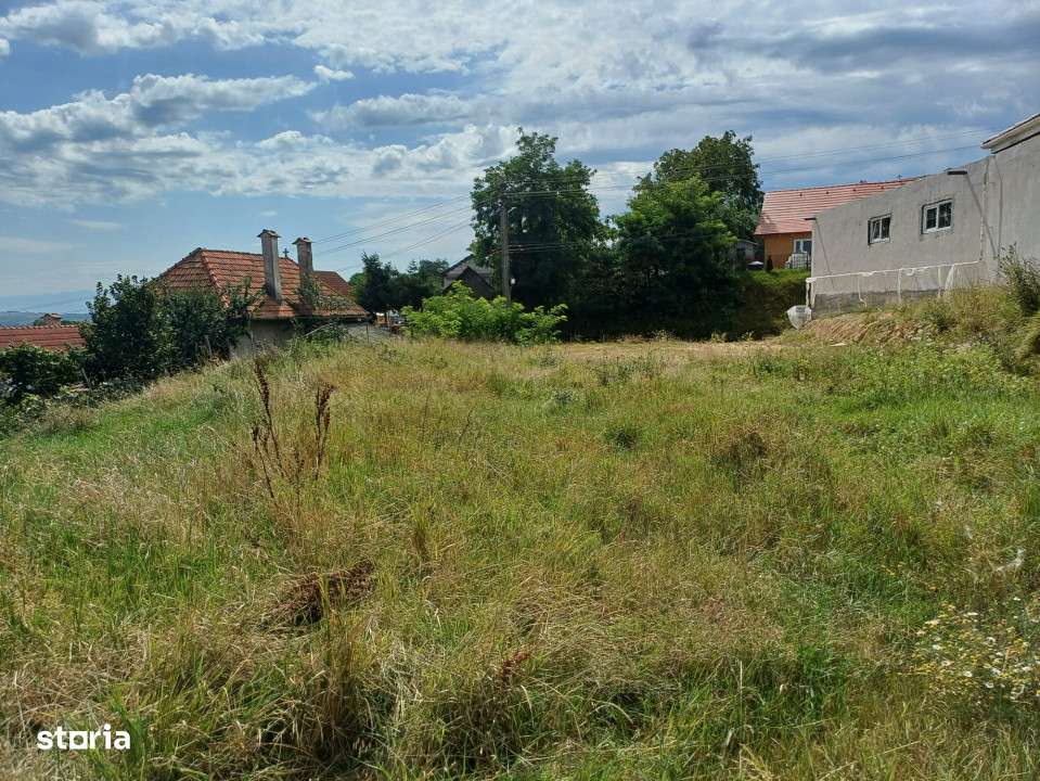 teren intravilan de vanzare in Saliste-4