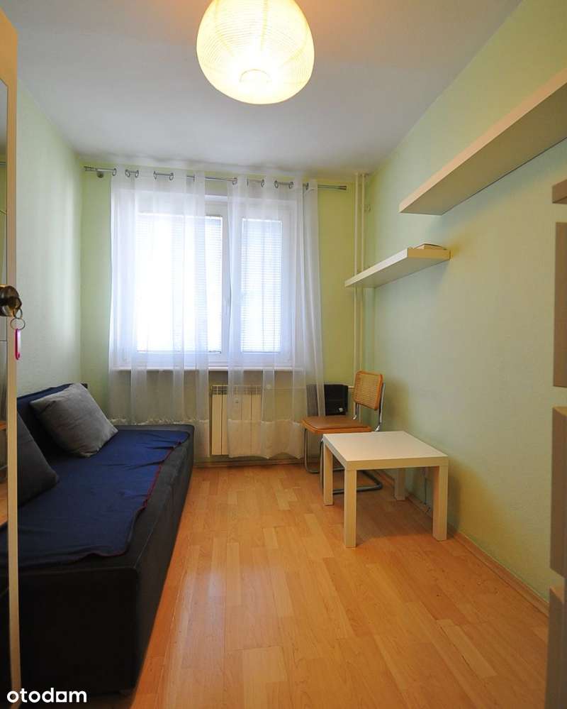 Świetny rozkład // Park-8