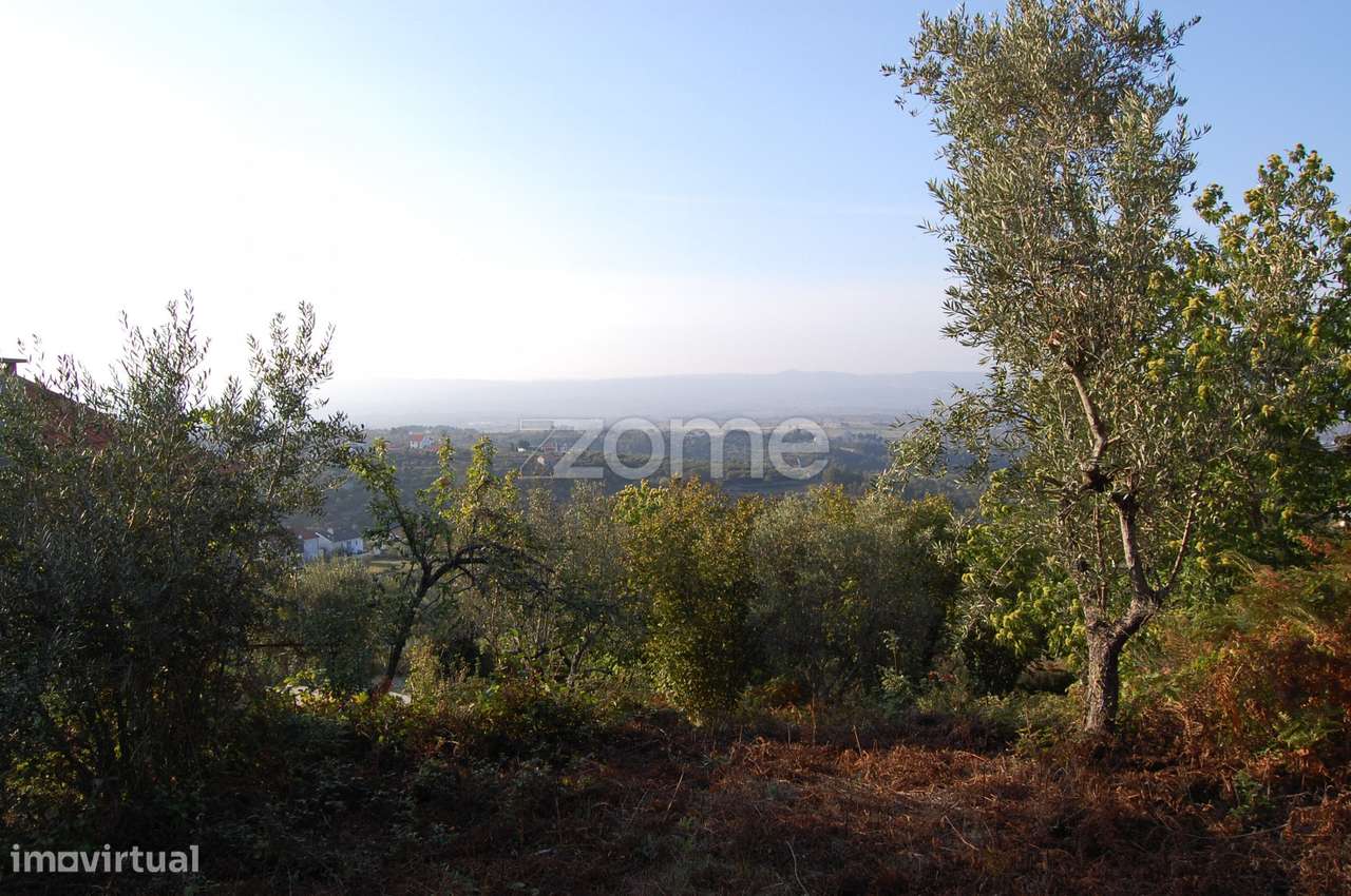 Terreno em Cabritos - Grande imagem: 4/22