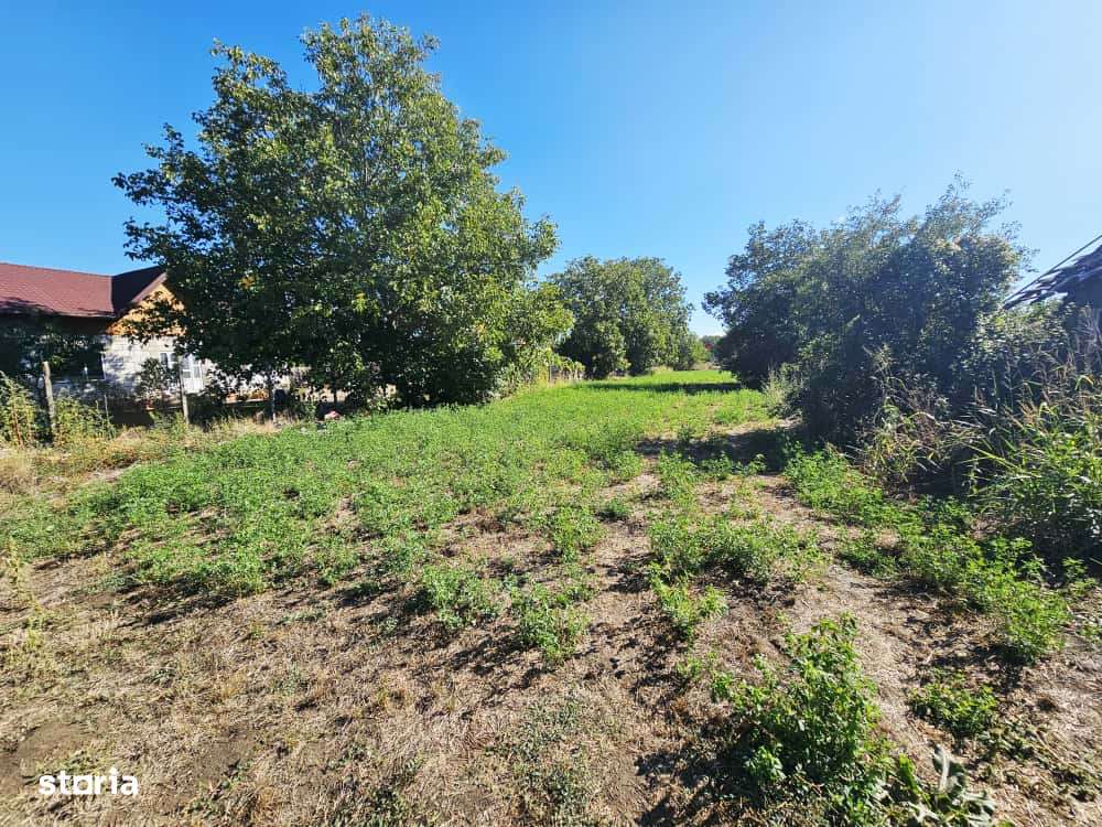 Teren intravilan 1.585 mp, cu utilități la hotar –Gherghița–Ungureni-1