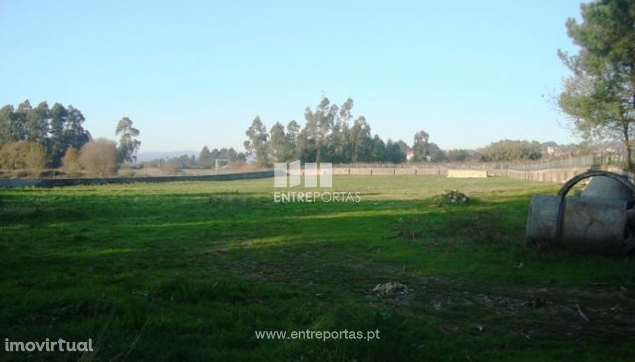 Terreno Agrícola - Vila de Punhe