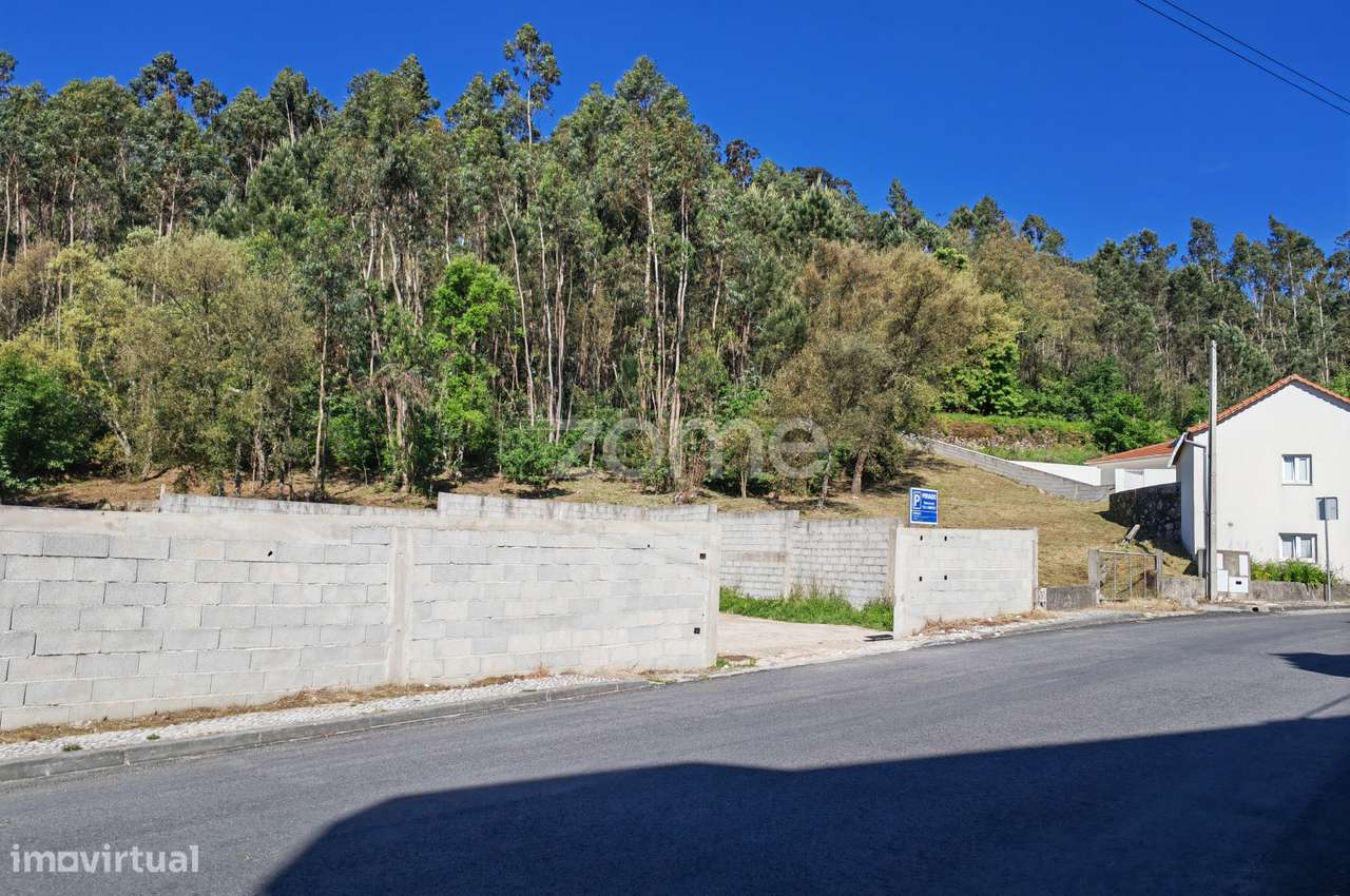 Terreno com Potencial de Construção – Fajões, Oliveira de Azeméis... - Grande imagem: 5/15