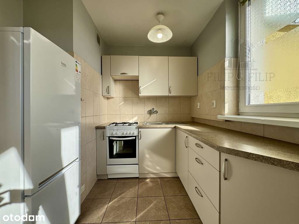 Kompaktowa kawalerka-Blisko UMK i starego miasta-3