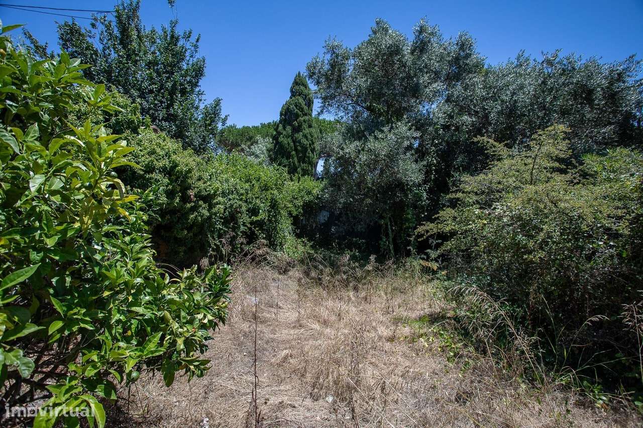 Charmosa Moradia T3 Térrea num lote de 938m2 para Remodelar na Aldeia-25