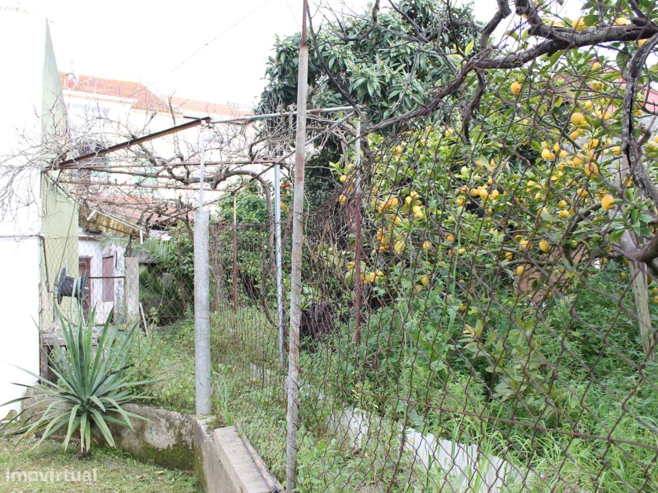 Oportunidade Única de Investimento  Prédio com Lojas, Habitação e A...-7