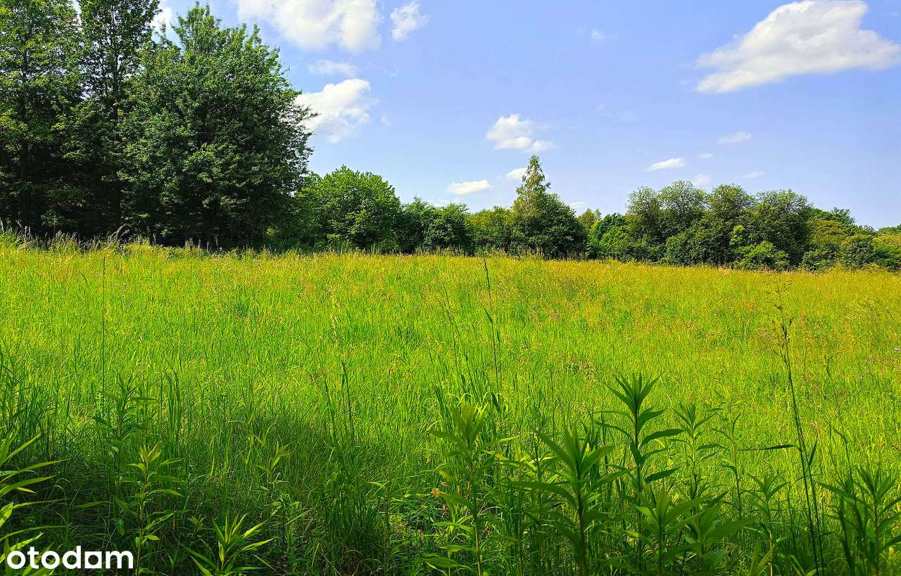 Działki na Roztoczu - Bondyrz-10