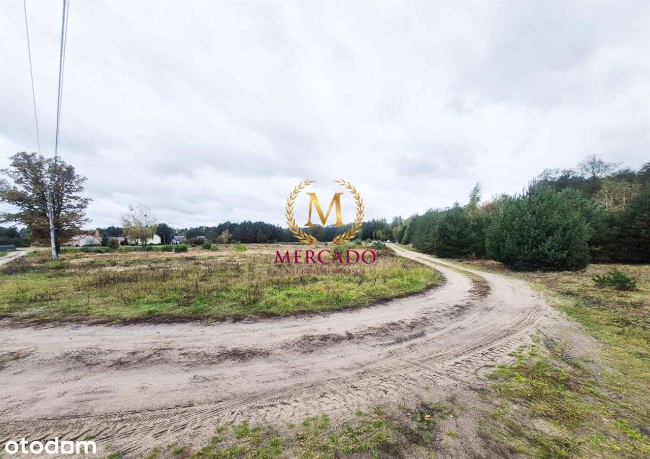 Działka 2697 m² osiedle pod Sosnami - Nowe Grabie - Pełny obrazek: 4/4