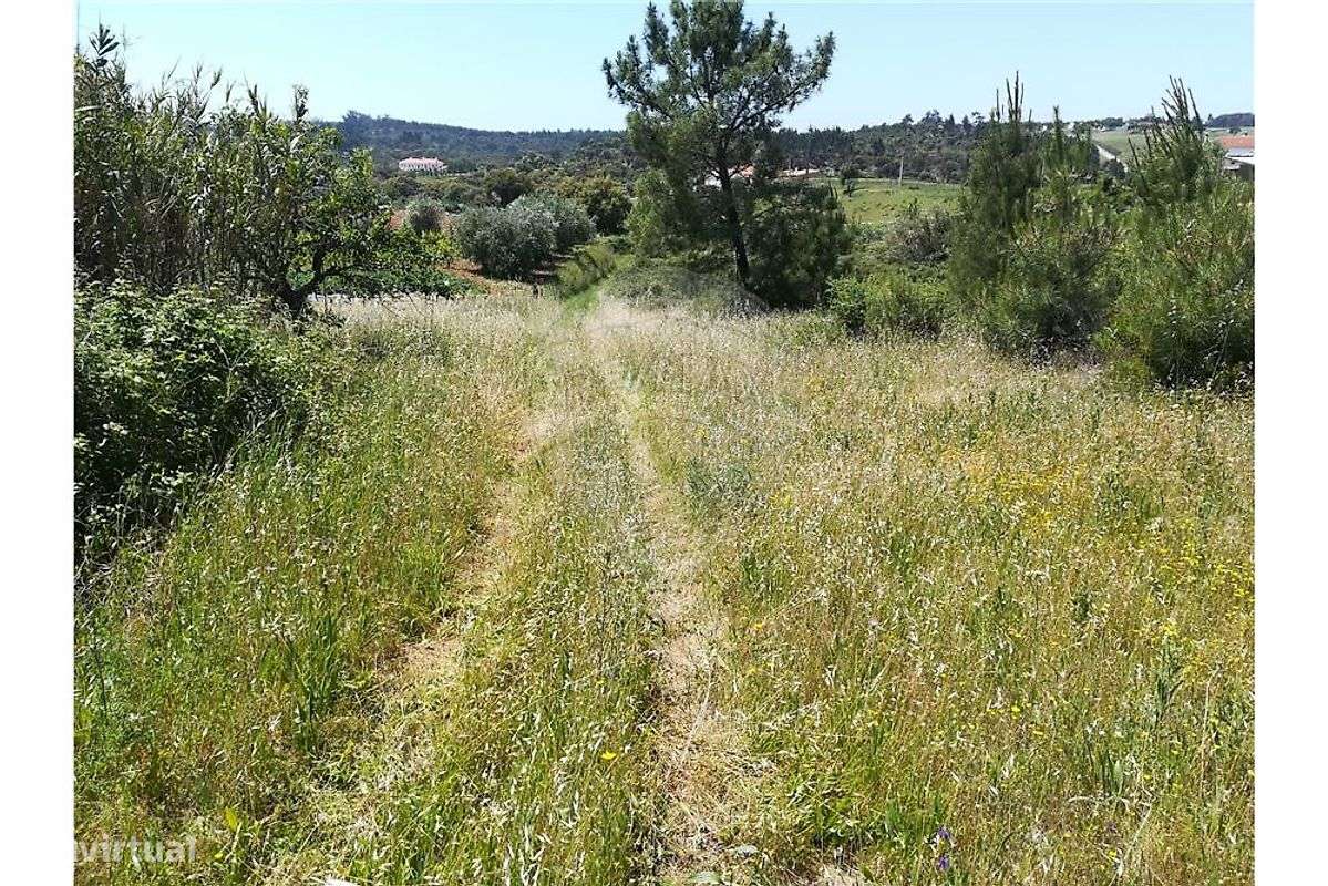 Terreno  para venda-4