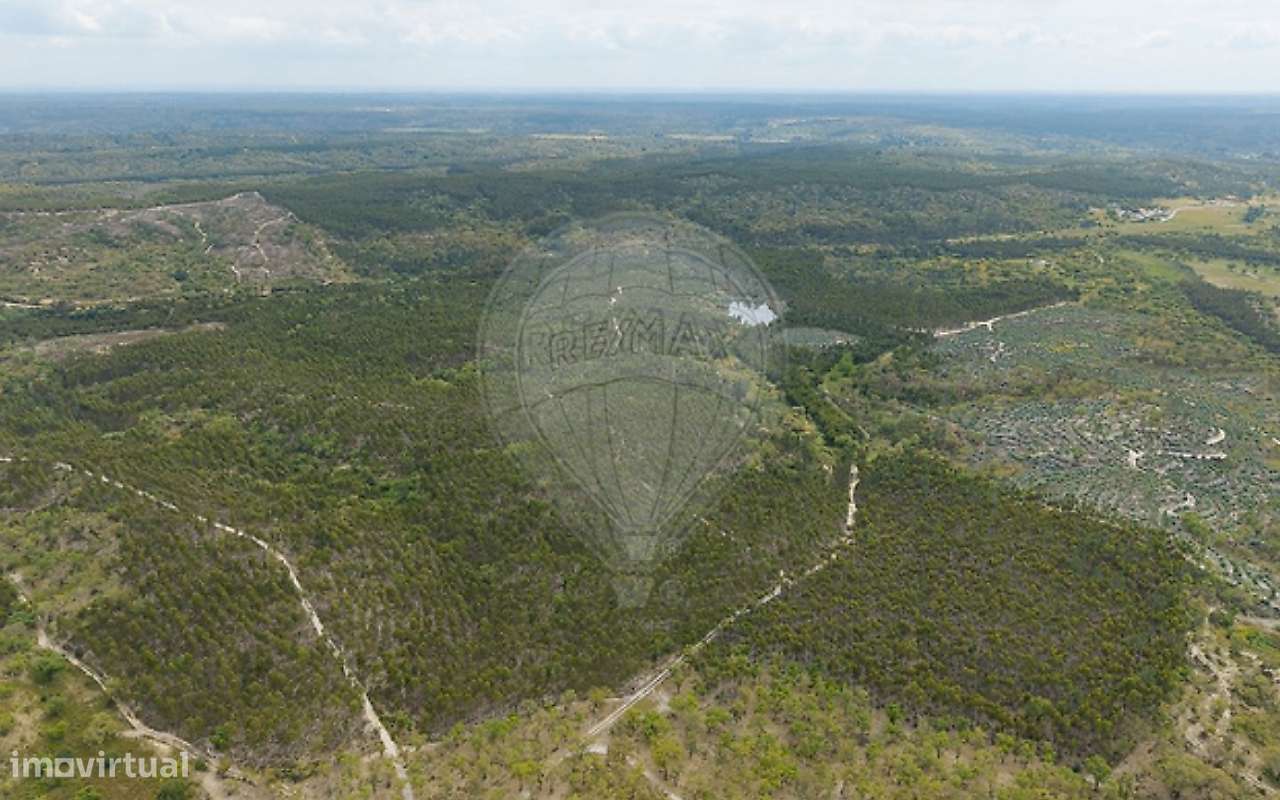 Quinta T3 para venda - Grande imagem: 2/17