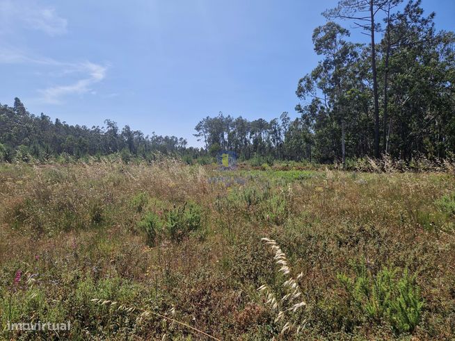 Terreno com 1.485m2 em Amor, Leiria, com viabilidade de construção de-4
