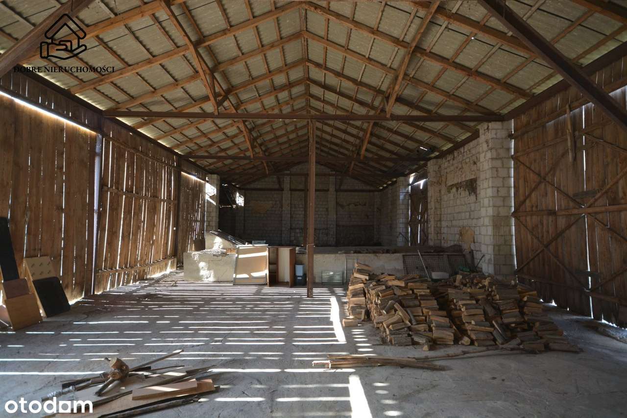 Spiczyn - Jawidz - Działka  zabudowana 22ary - Pełny obrazek: 5/7