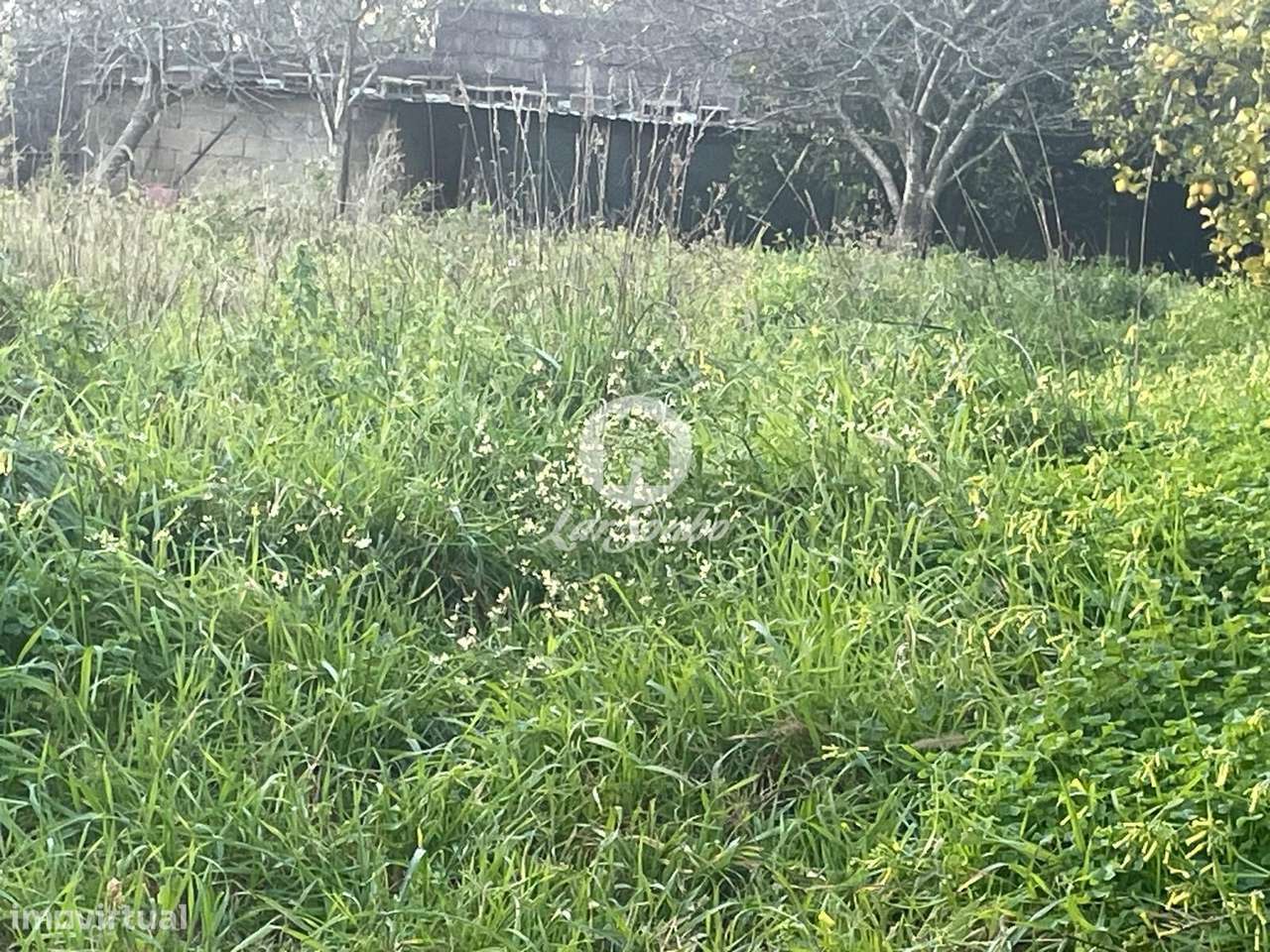 Terreno com 30m frente, para construção de Moradia com 1000m² em Co... - Grande imagem: 4/8