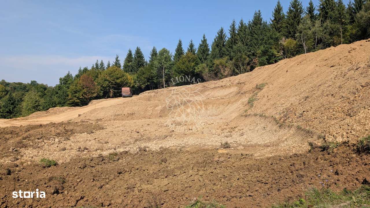 Teren 5930 mp- 1,4 km centru- investitie, cabana in natura - Imagine principală: 3/5