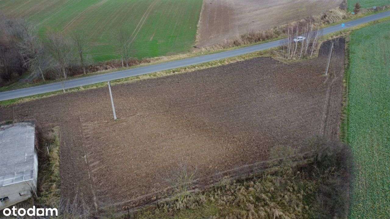 Działka w pobliżu jeziora - Łapinóżek-6