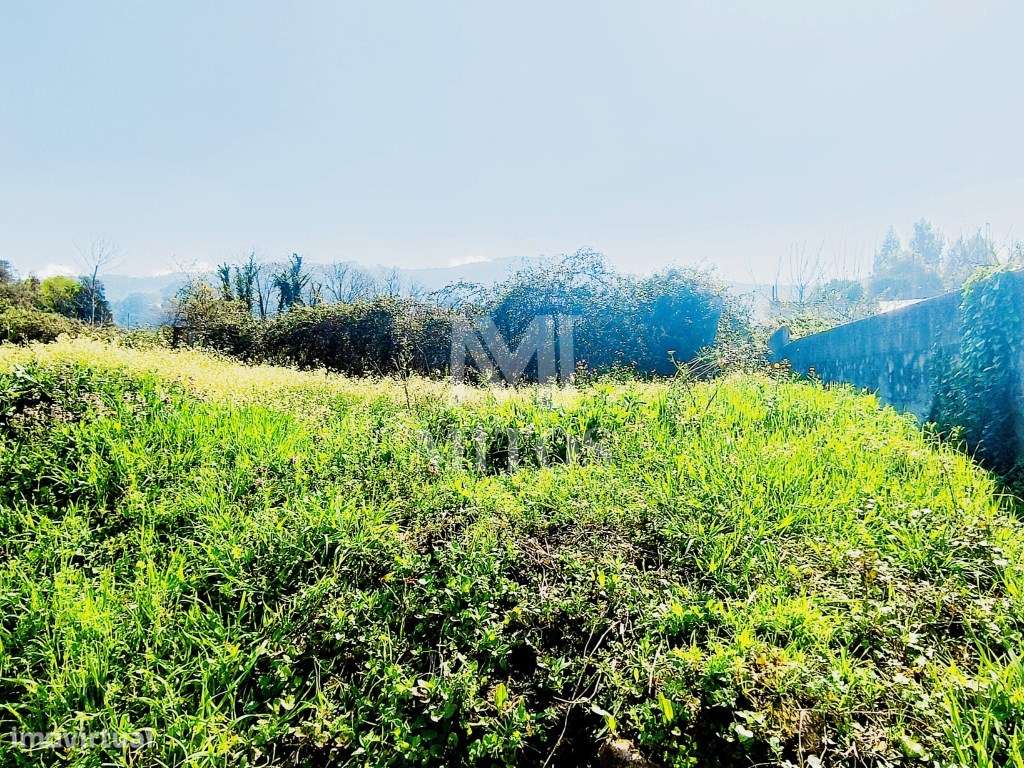 Terreno rústico para venda em Tregosa - Barcelos - Grande imagem: 4/9