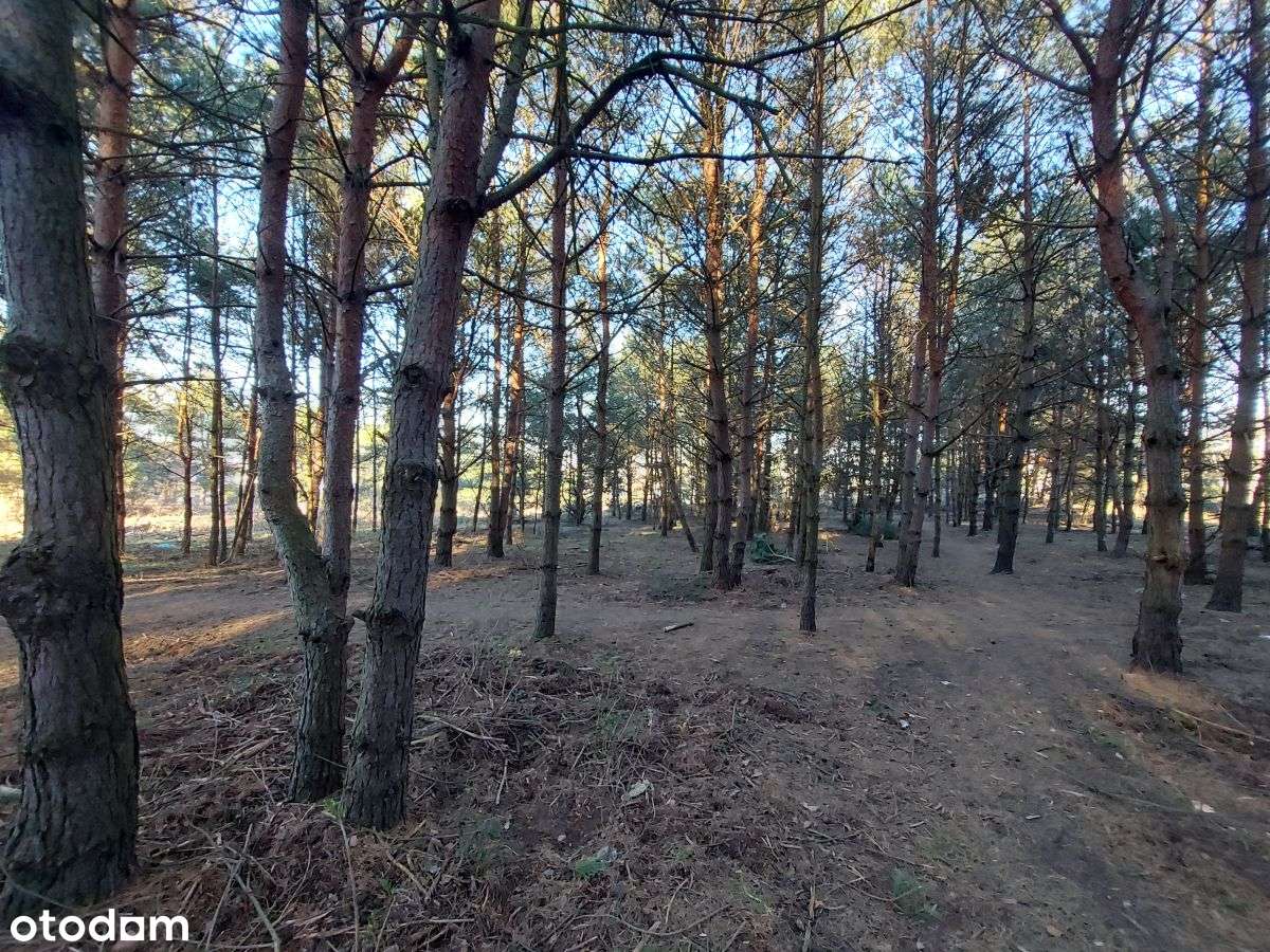 Atrakcyjna działka budowlana w Rumi-7