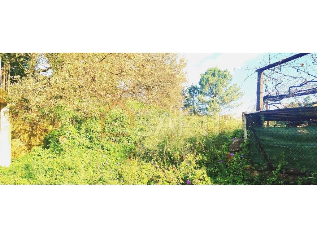 Terreno Amplo, Excelente Oportunidade! - Grande imagem: 5/15