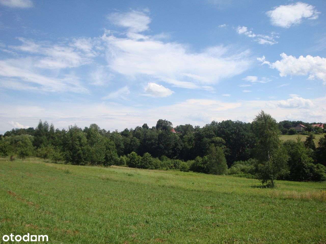 Sprzedam działki w Czechówce - Pełny obrazek: 4/4
