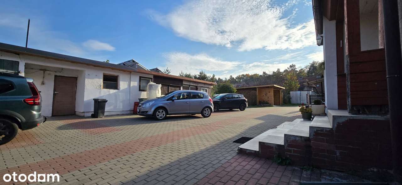 Ulica Miłosna, Ogródek, Spokojna okolica - Pełny obrazek: 5/17