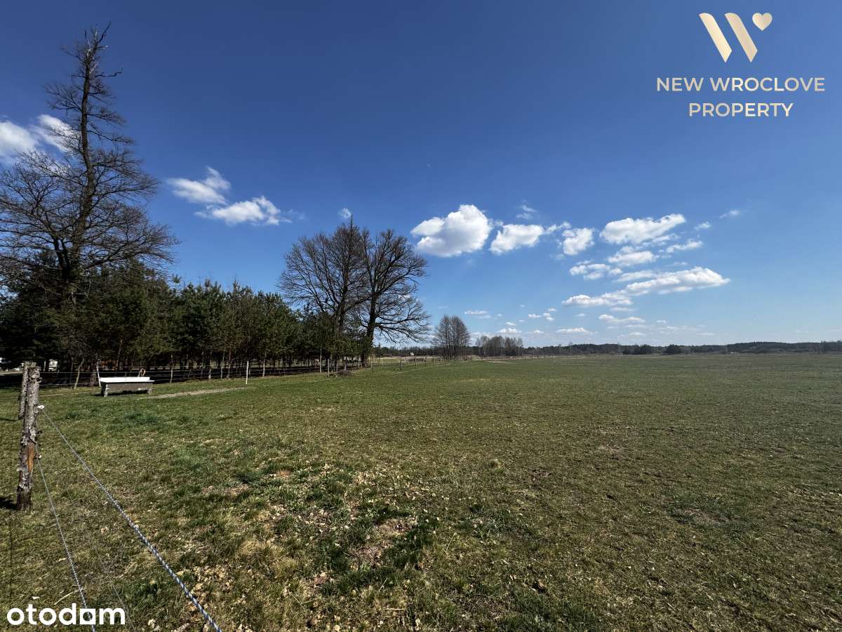 Działka rolna Śmiechowice, negocjacja - Pełny obrazek: 5/5