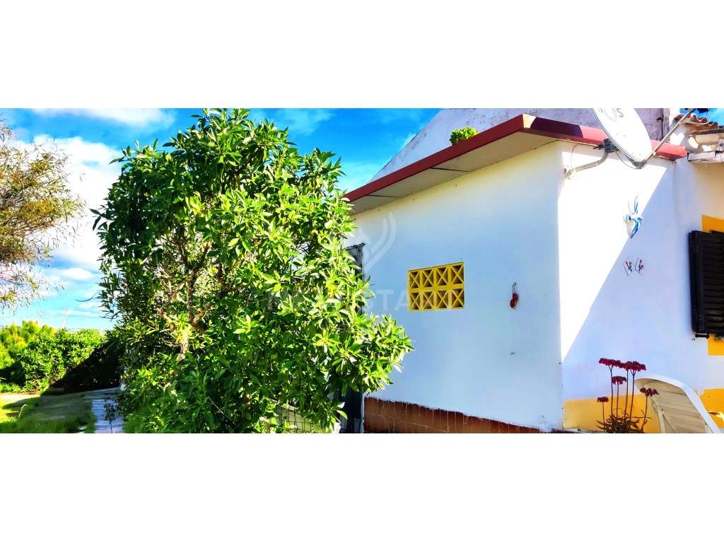 Moradia com Vista Desafogada na Ilha da Armona - Grande imagem: 5/27