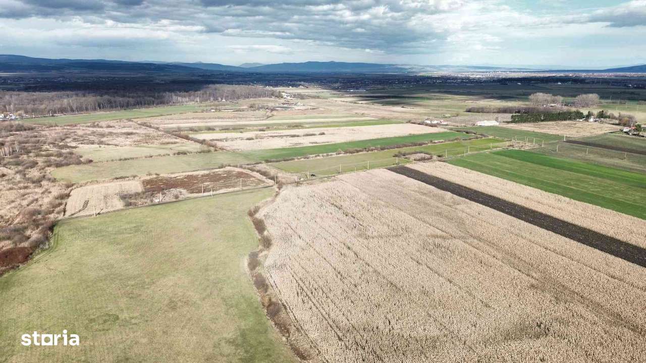 Teren 5 hectare de vanzare prejmer Brasov-3