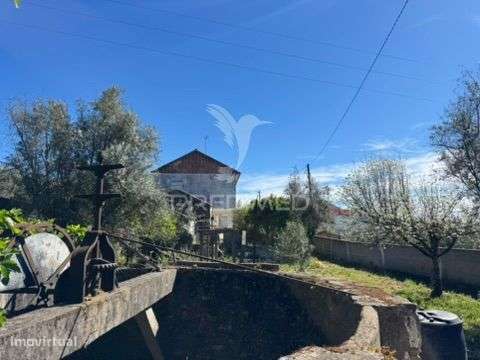 Moradia T5 Mouriscas - Grande imagem: 4/18