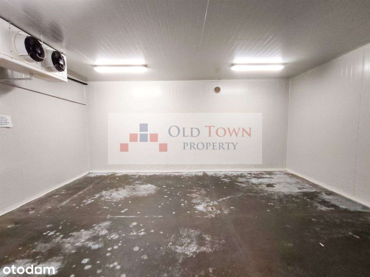 Działka 4000 m2 z halą ok 1000 m2 - Pełny obrazek: 4/20