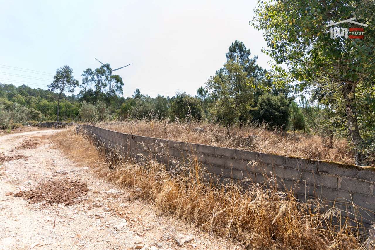 Terreno Rústico Murado em Barreiro Grande, S. Mamede - Grande imagem: 5/8