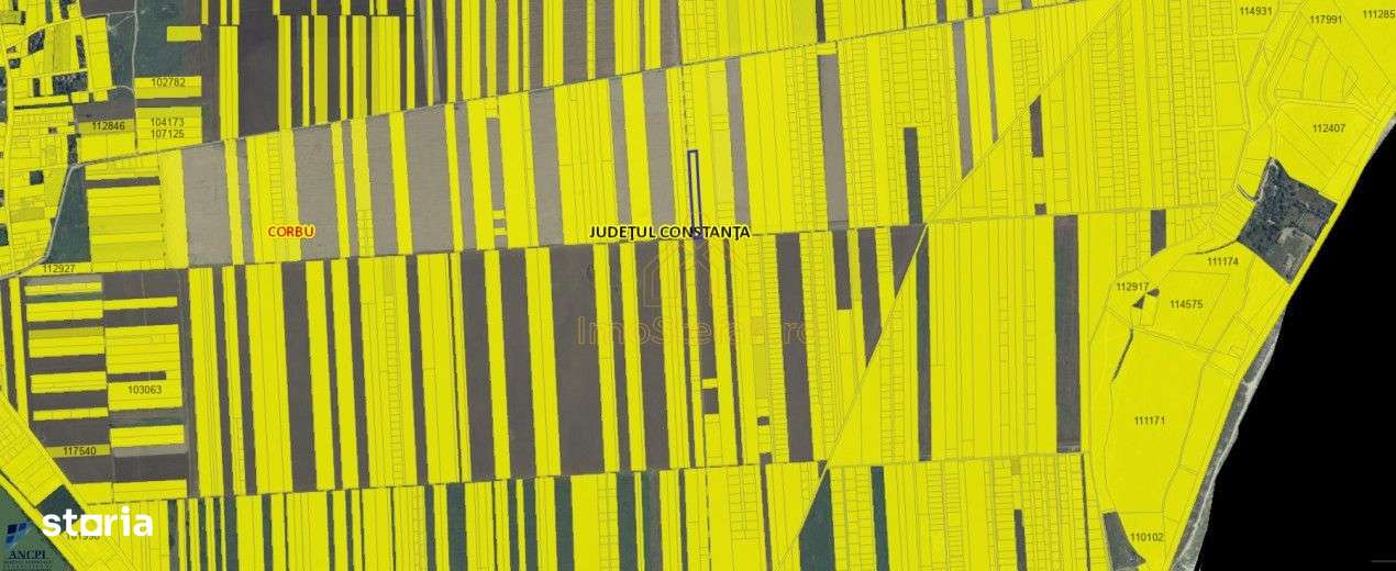 Corbu | Investeste in teren extravilan 5000 mp.-6