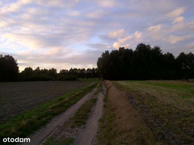 Działka rolna w cichej okolicy - 1,56 ha - Pełny obrazek: 4/11