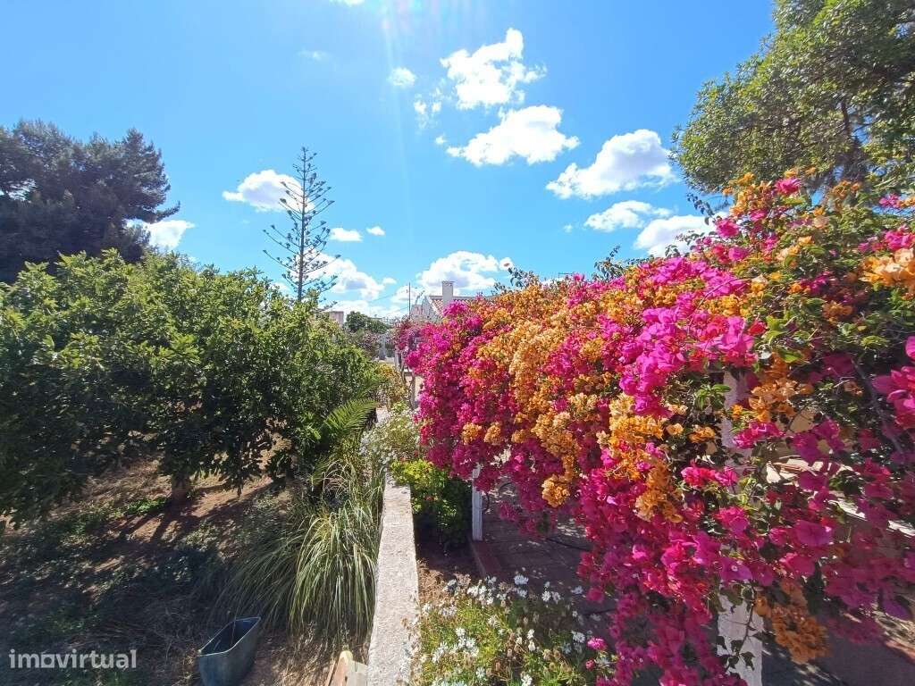 Terreno para venda em Portimão - Grande imagem: 5/11