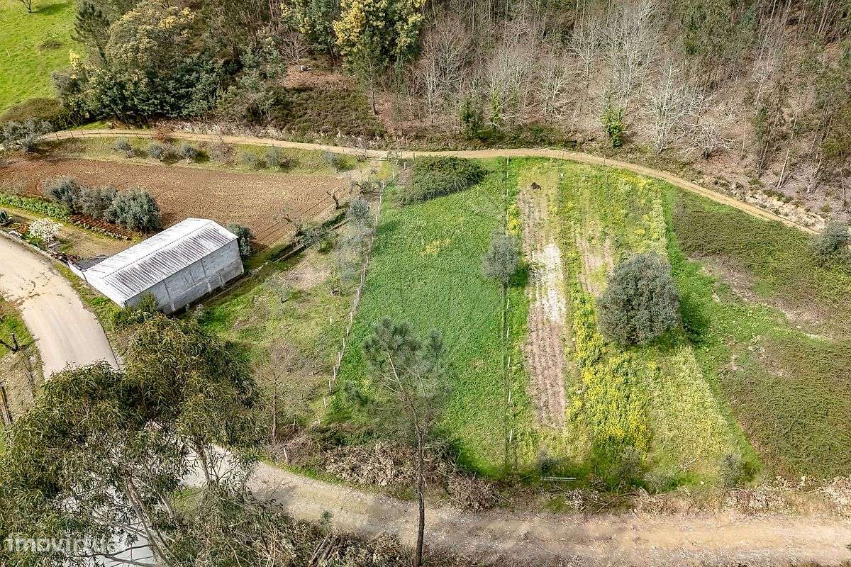 Terreno  para venda-8