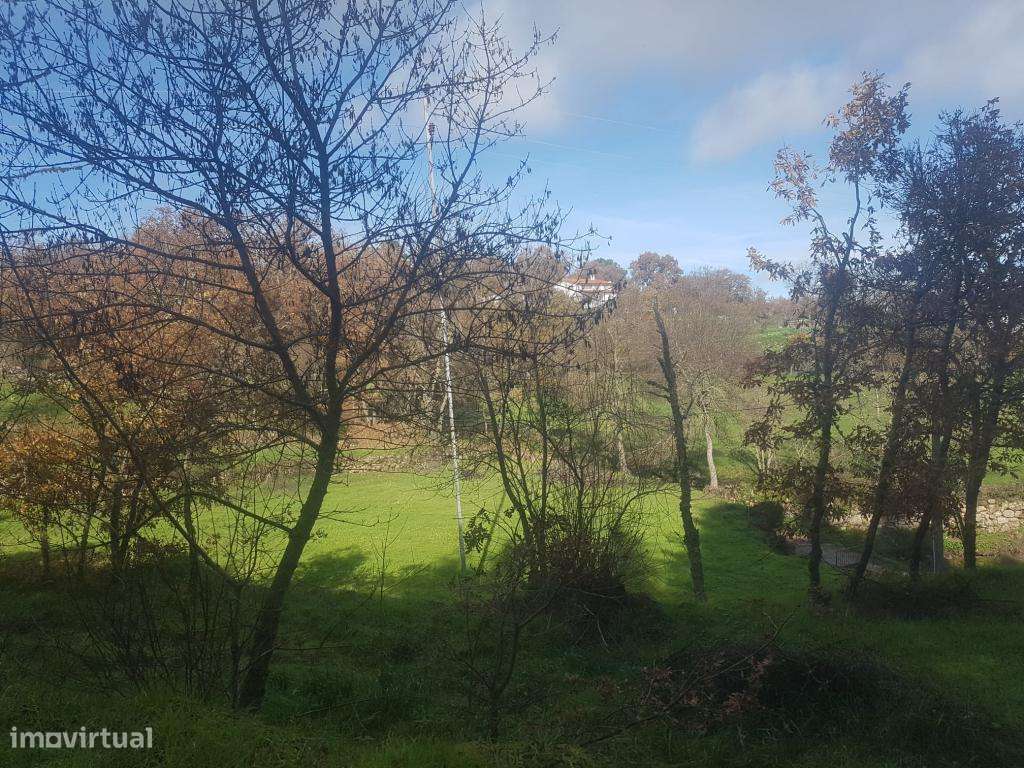 OPORTUNIDADE Quinta com Habitação de 5 Ha - Grande imagem: 5/28