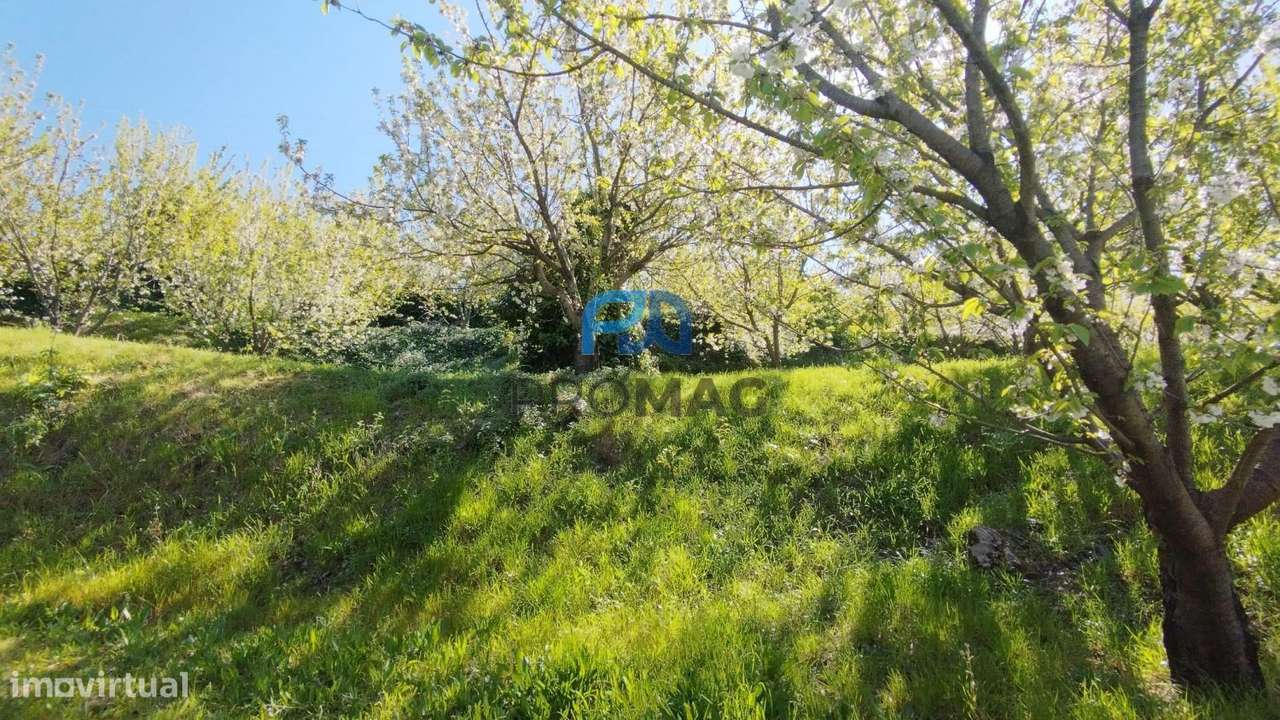 Quinta do Valado- Excelente Investimento em Resende-47