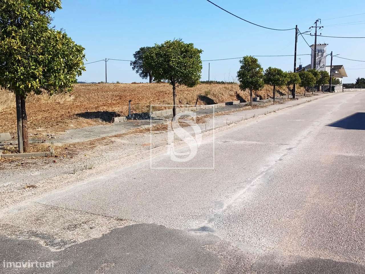 Terreno  Venda em São Pedro de Tomar,Tomar-10