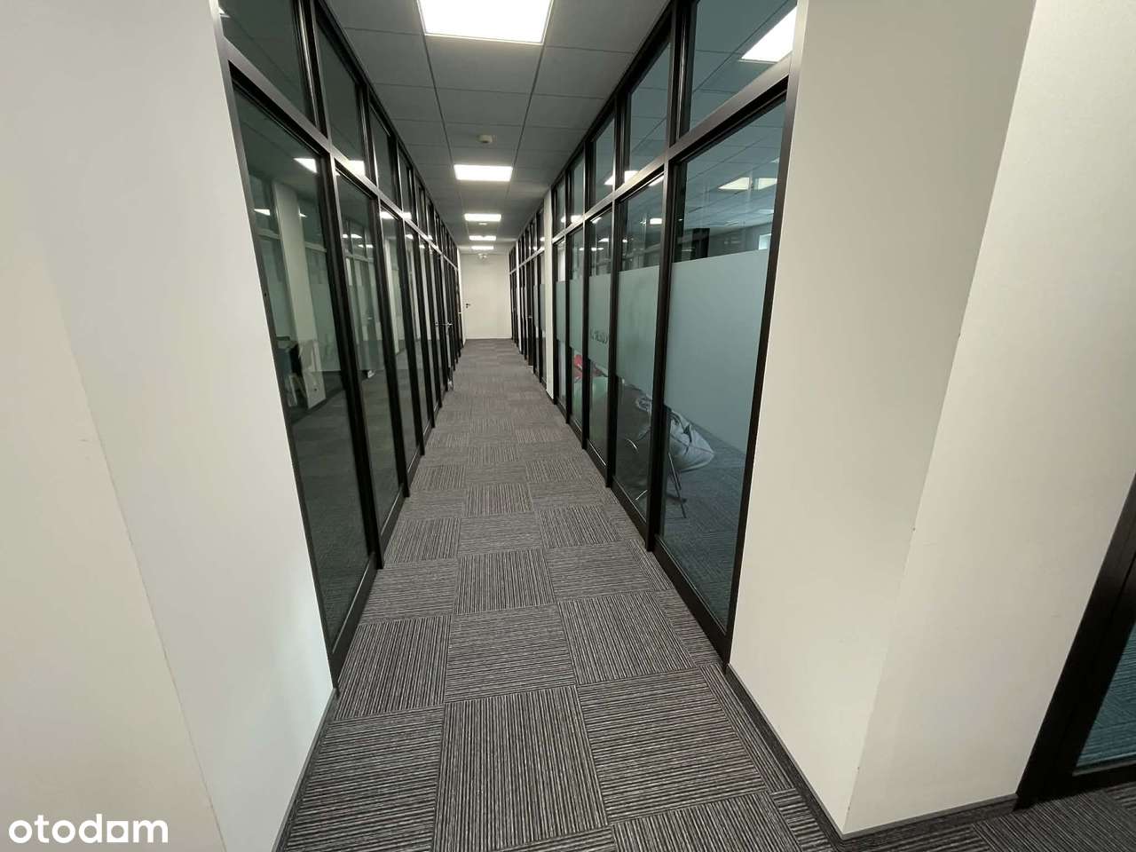 Biuro 91 m² Opole Rynek wysoki standard - Pełny obrazek: 4/5