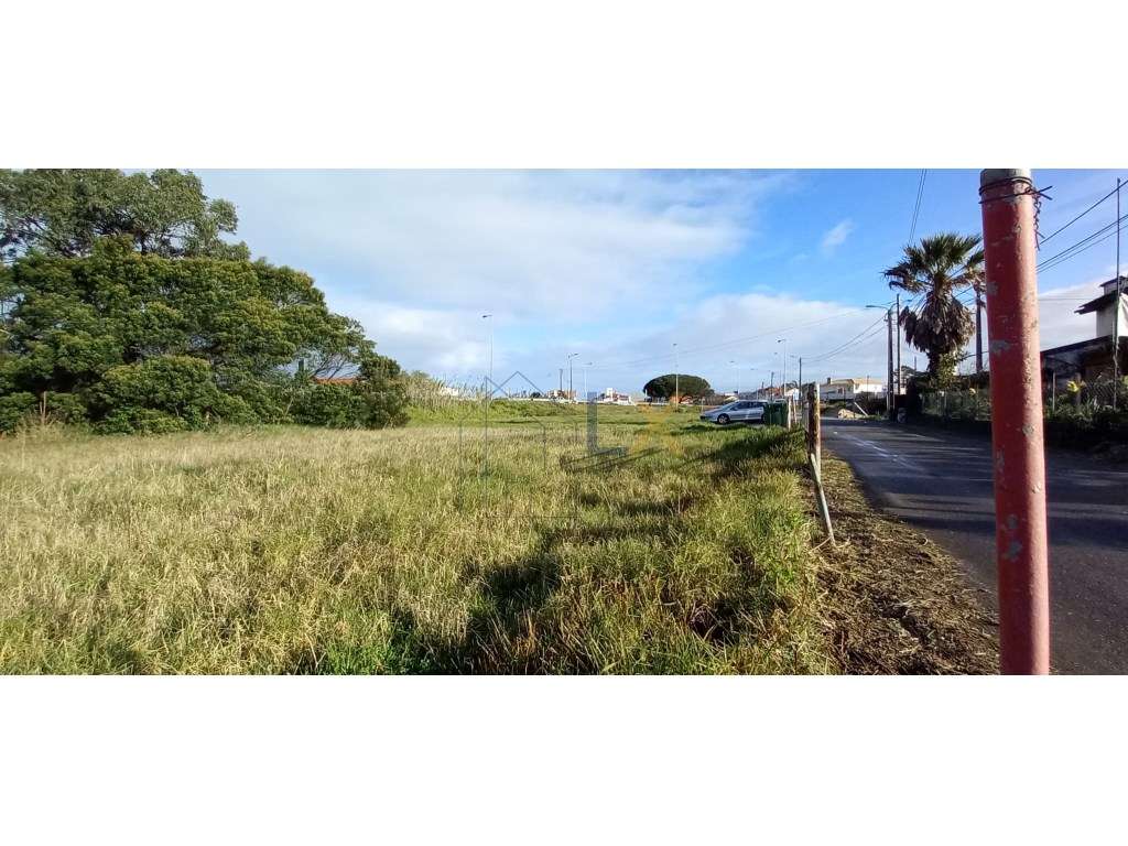 Excelente terreno na Gafanha da Nazaré. - Grande imagem: 5/21