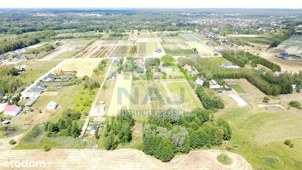 Działka wśród drzew w Kurianach - Pełny obrazek: 4/9