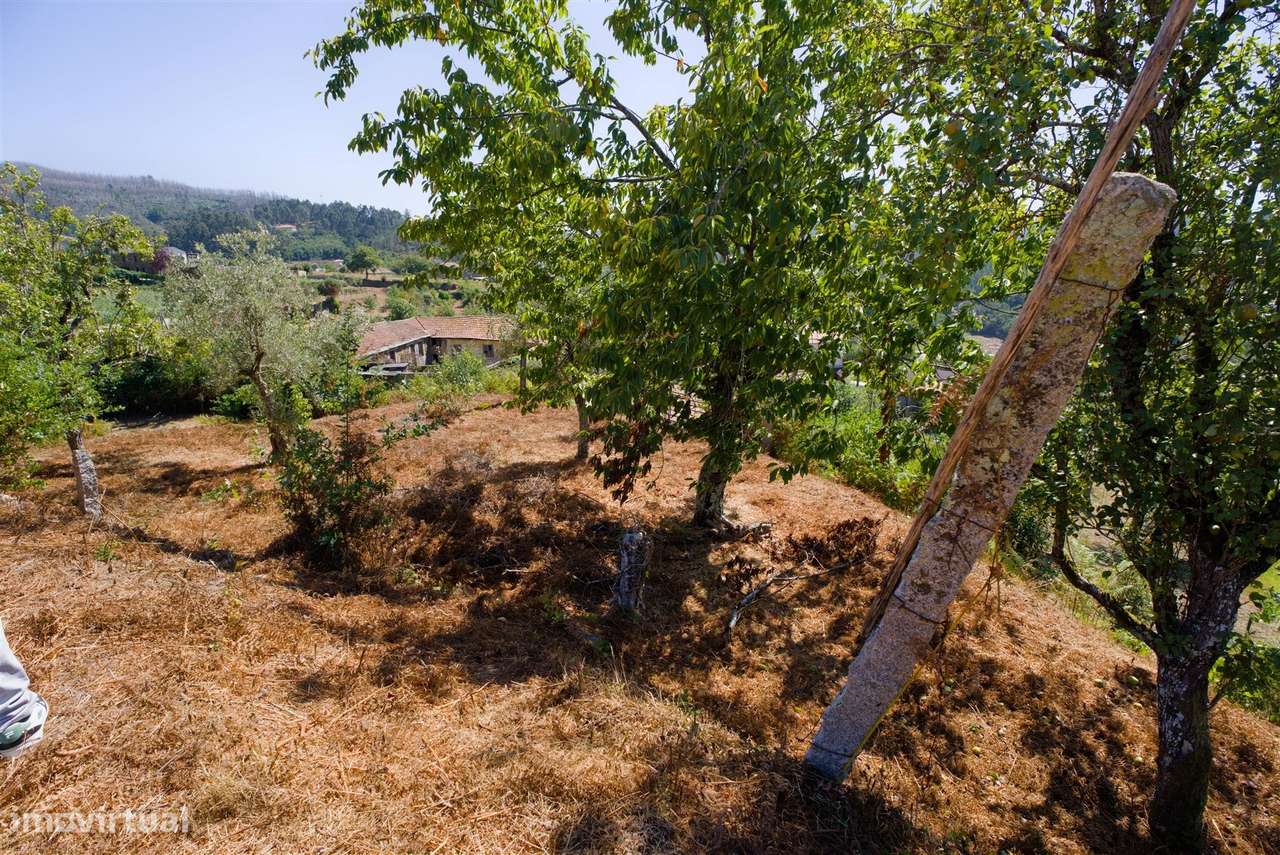 Terreno  Venda em Real,Castelo de Paiva-6