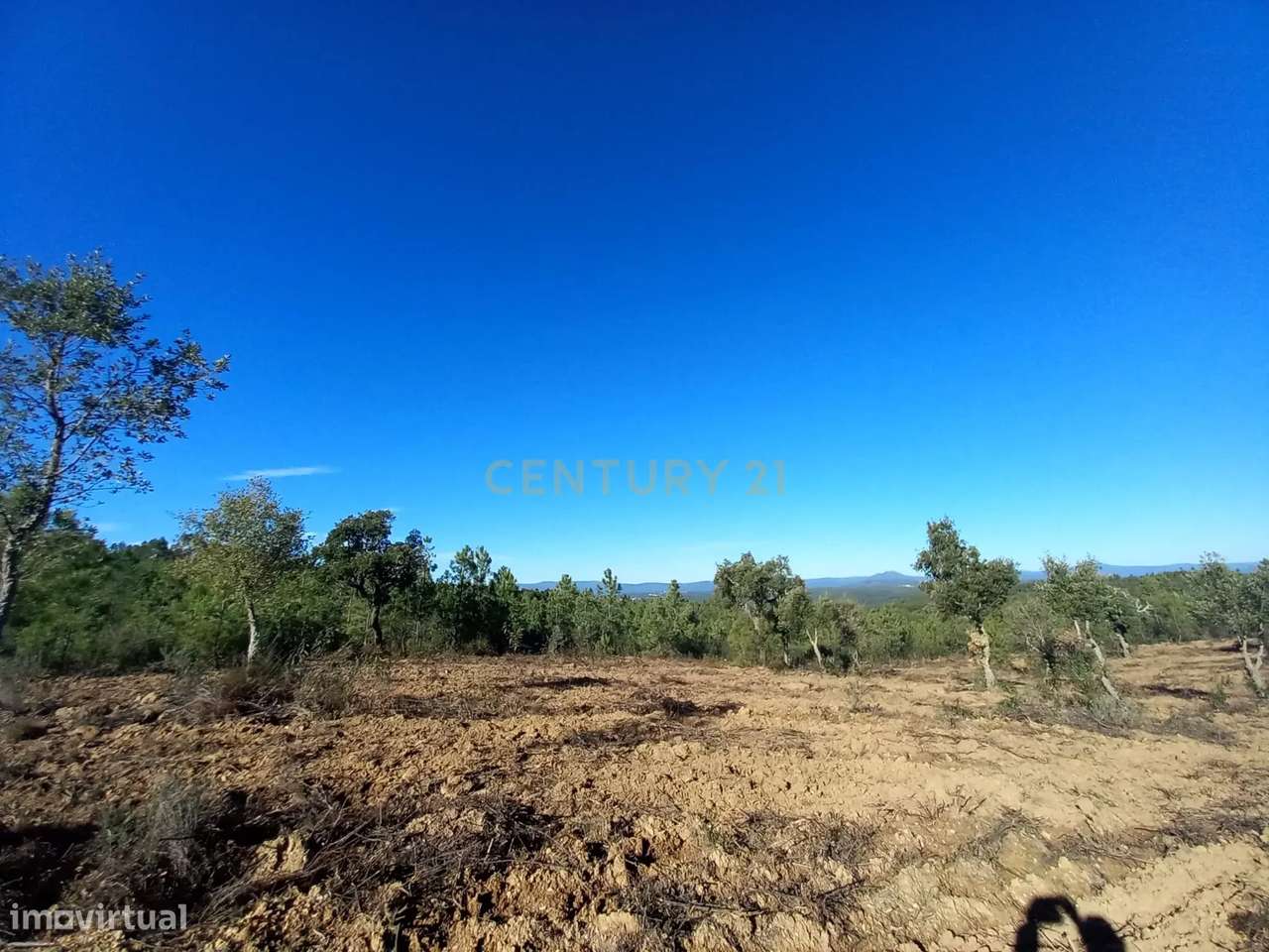 Terreno rustico com 16940m2-Sarnadas de Rodão - Grande imagem: 3/17