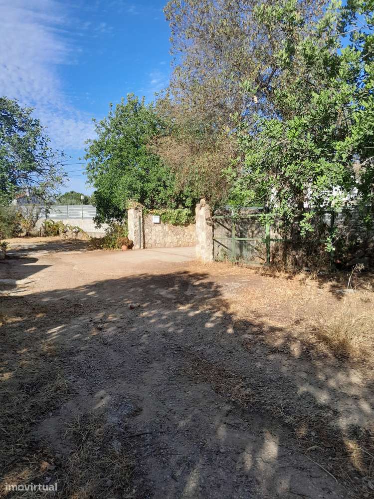 Moradia T3 C/ 10.000M2 Terreno C/ Furo-33